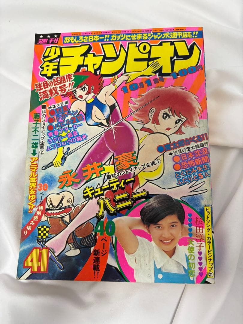 少年チャンピオン 1973年41号