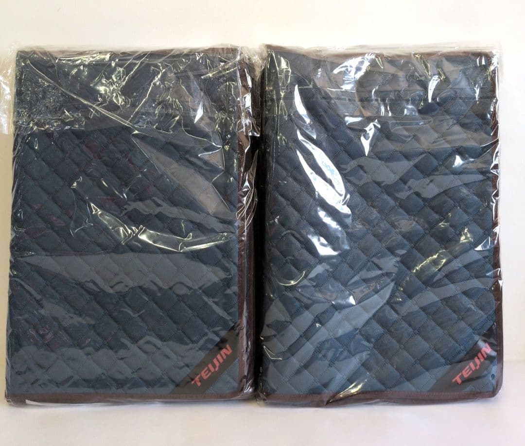 TEIJIN帝人の高機能収納袋　カラッと収納ケースプレミアム×2セット〈未使用〉