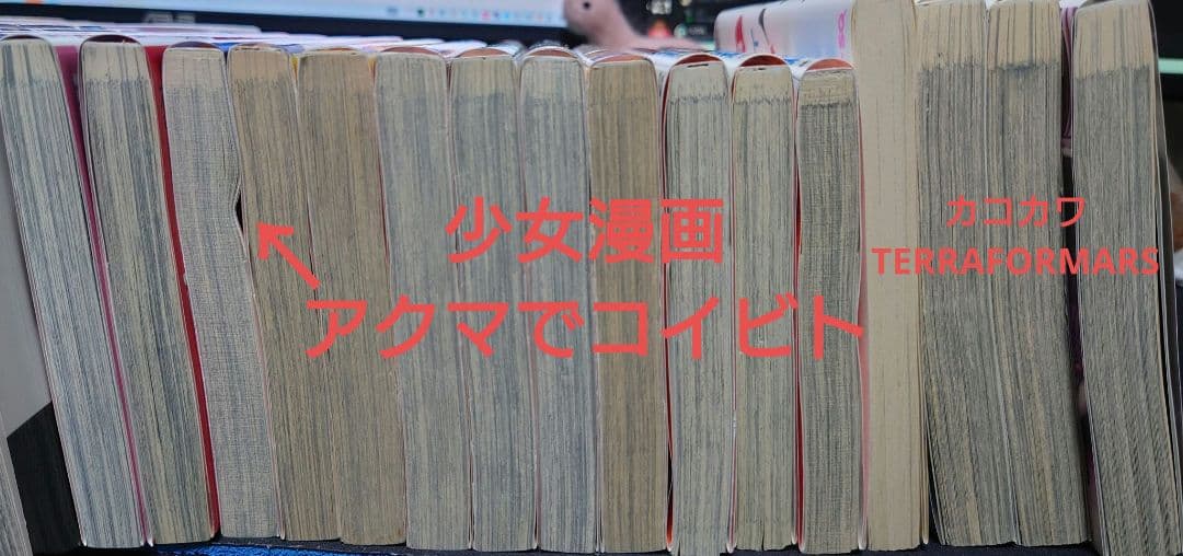 少年漫画と少女漫画まとめ売り41冊
