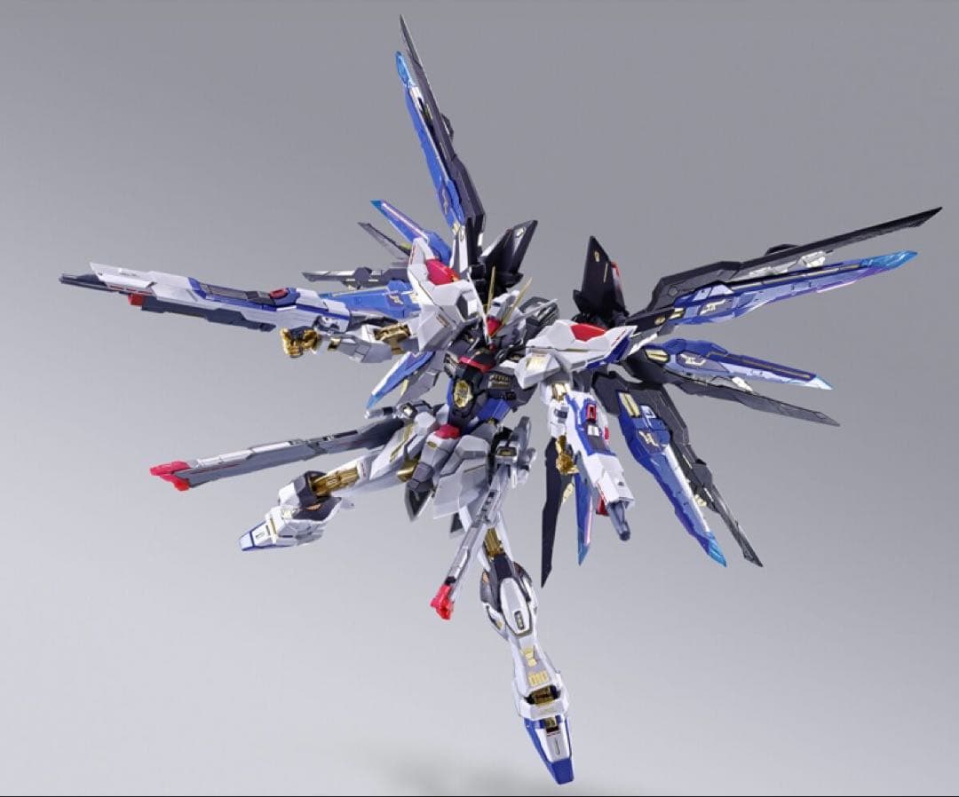 メタルビルド　ストライクフリーダムガンダム　2024