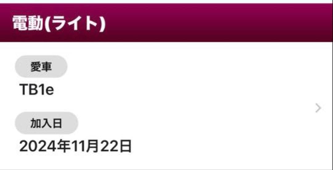 ブリヂストン（BRIDGESTONE）　TB1e 電動自転車　2024年購入