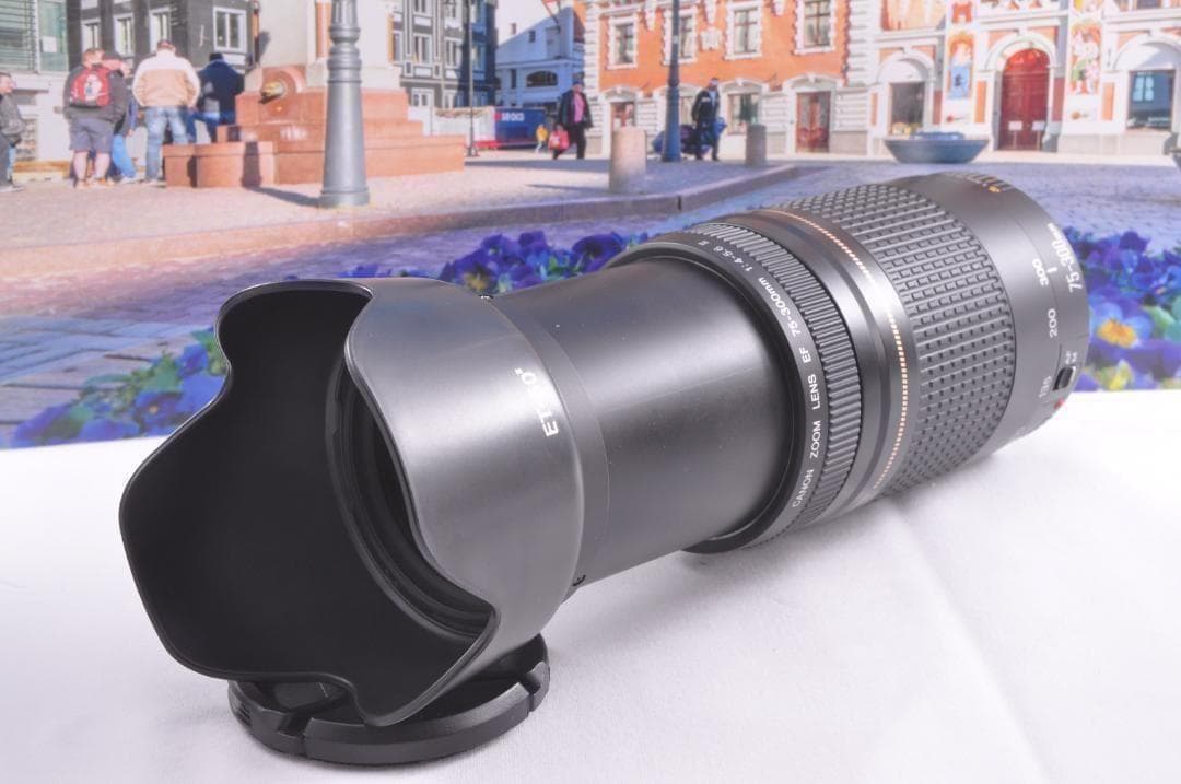 望遠レンズ Canon キヤノン 迫力の75-300mm レンズフード付き！