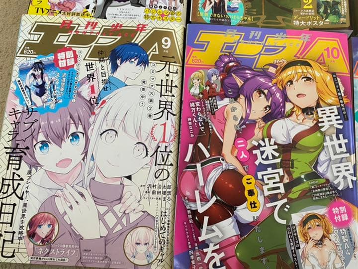 漫画　月間少年エース