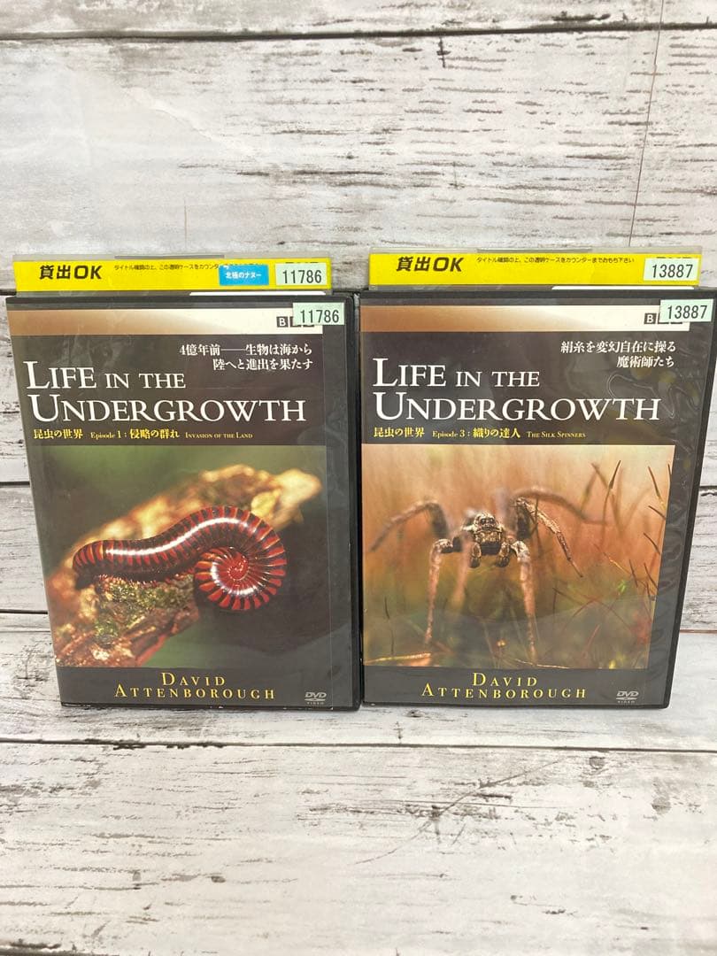 BBC 昆虫の世界　DVD 2枚セット　ライフインザアンダーグラウス