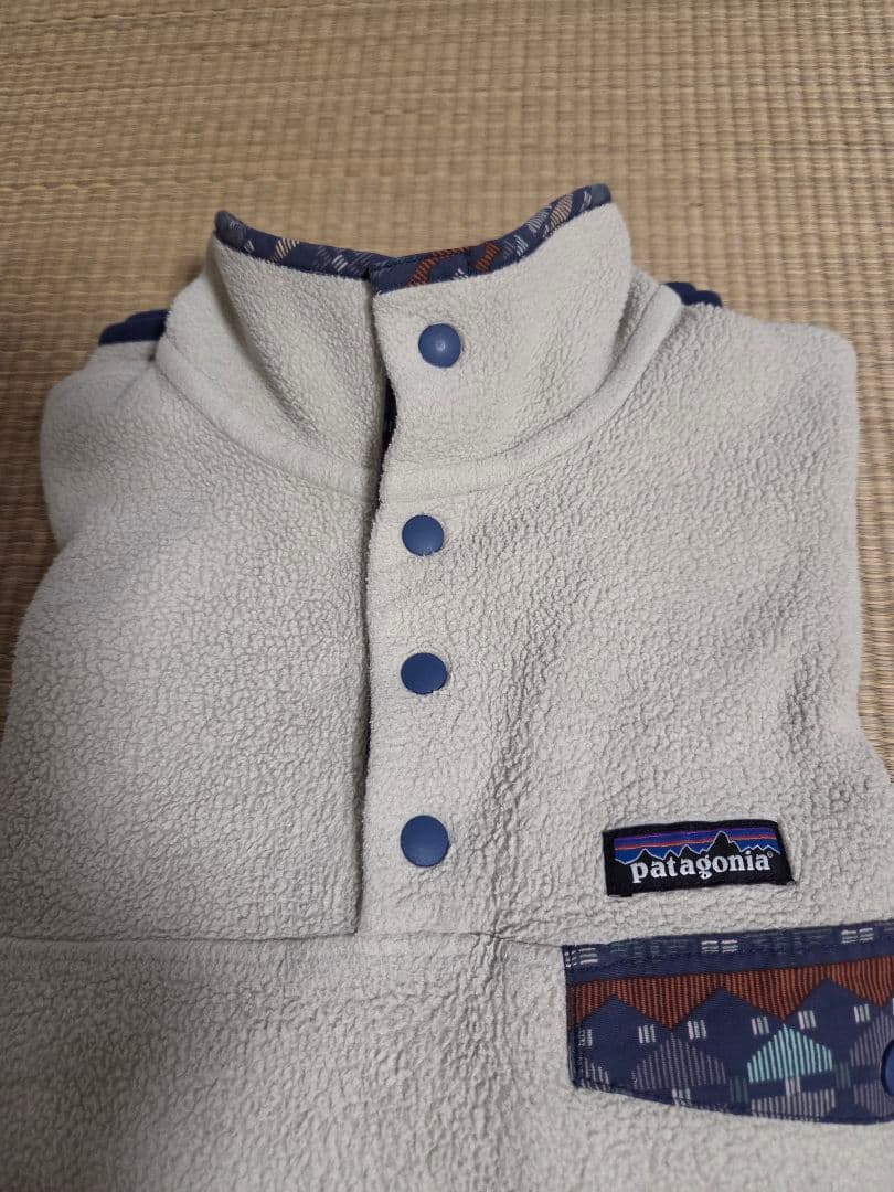 patagonia Synchilla スナップT