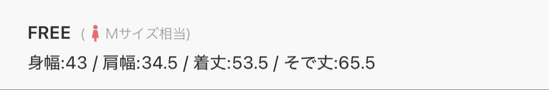 loin nuitシアーレイヤードカラートップス