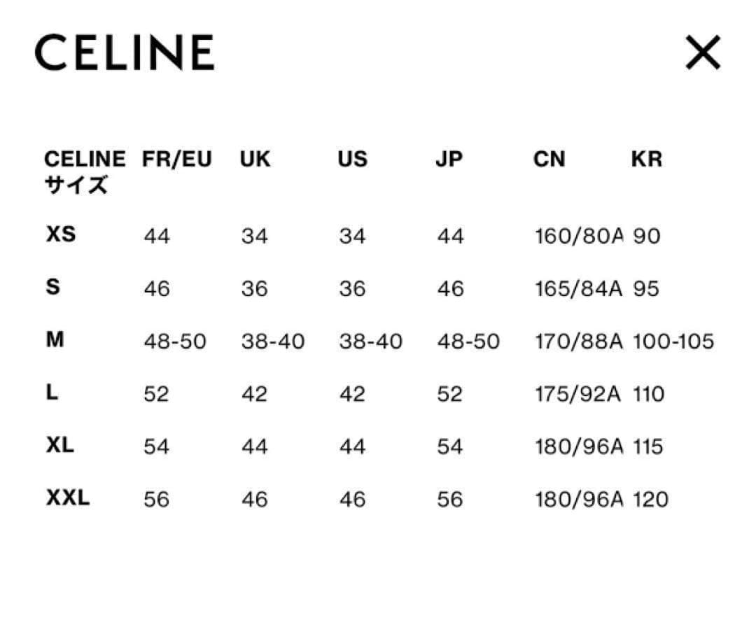 ライブのチケット代にしたいので売れてほしいCELINE ブラック Tシャツ