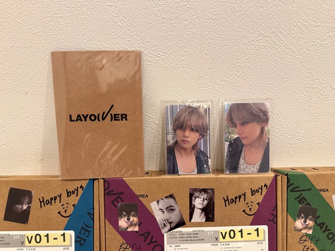 LAYOVER V01-1 ボックスセット フォトカード付き