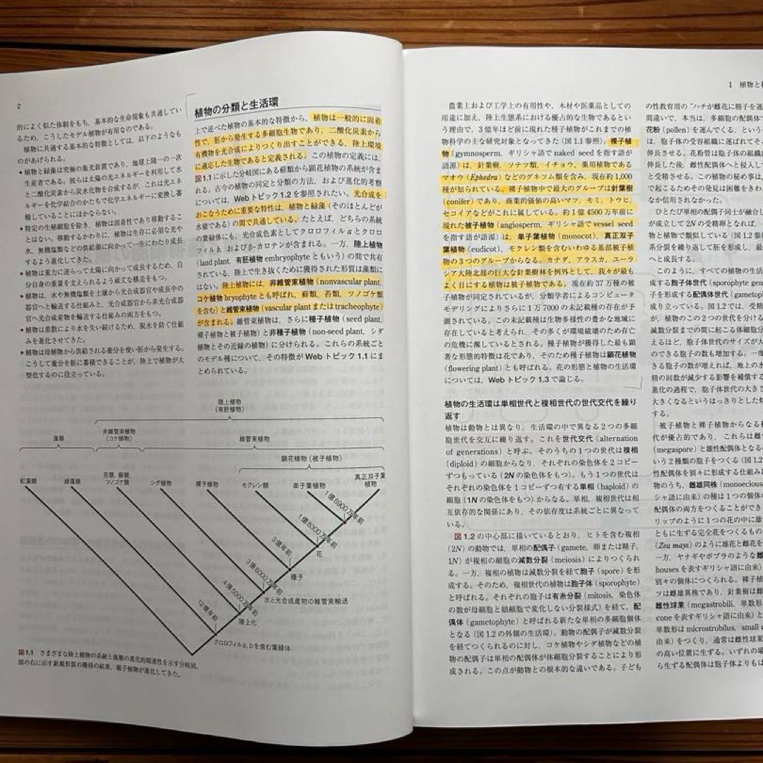テイツザイガー　植物生理学・発生学　原著第6版