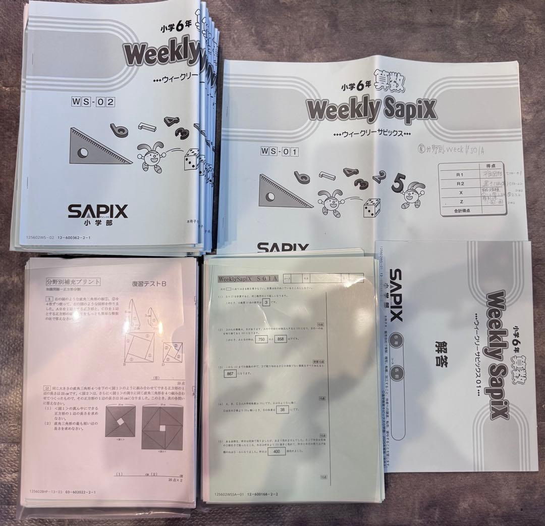 user_d5547334 ⭐︎最新版フルセット② SAPIXサピックス6年