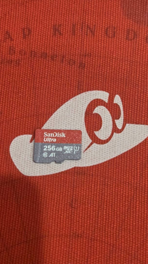 Nintendo Switch SDカード256GB付き　マリオセット