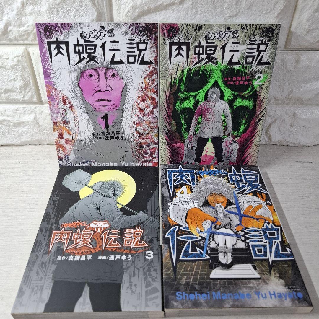 美品　闇金ウシジマくん外伝肉蝮伝説　1～16