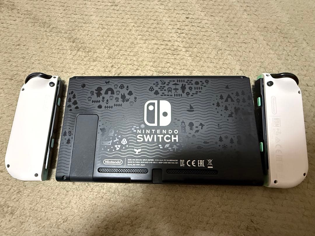 Nintendo Switch あつまれどうぶつの森セット+ハードケース【完品】