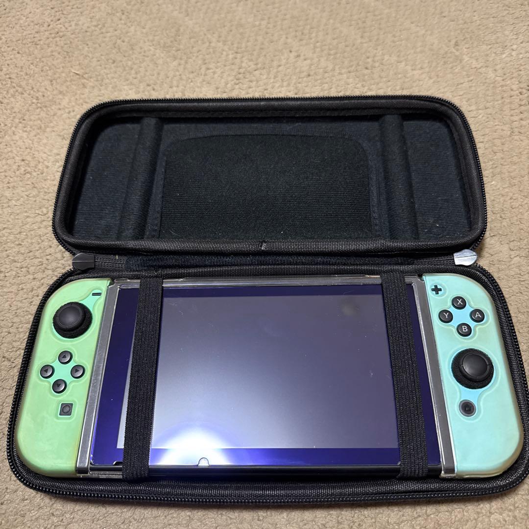 Nintendo Switch あつまれどうぶつの森セット+ハードケース【完品】