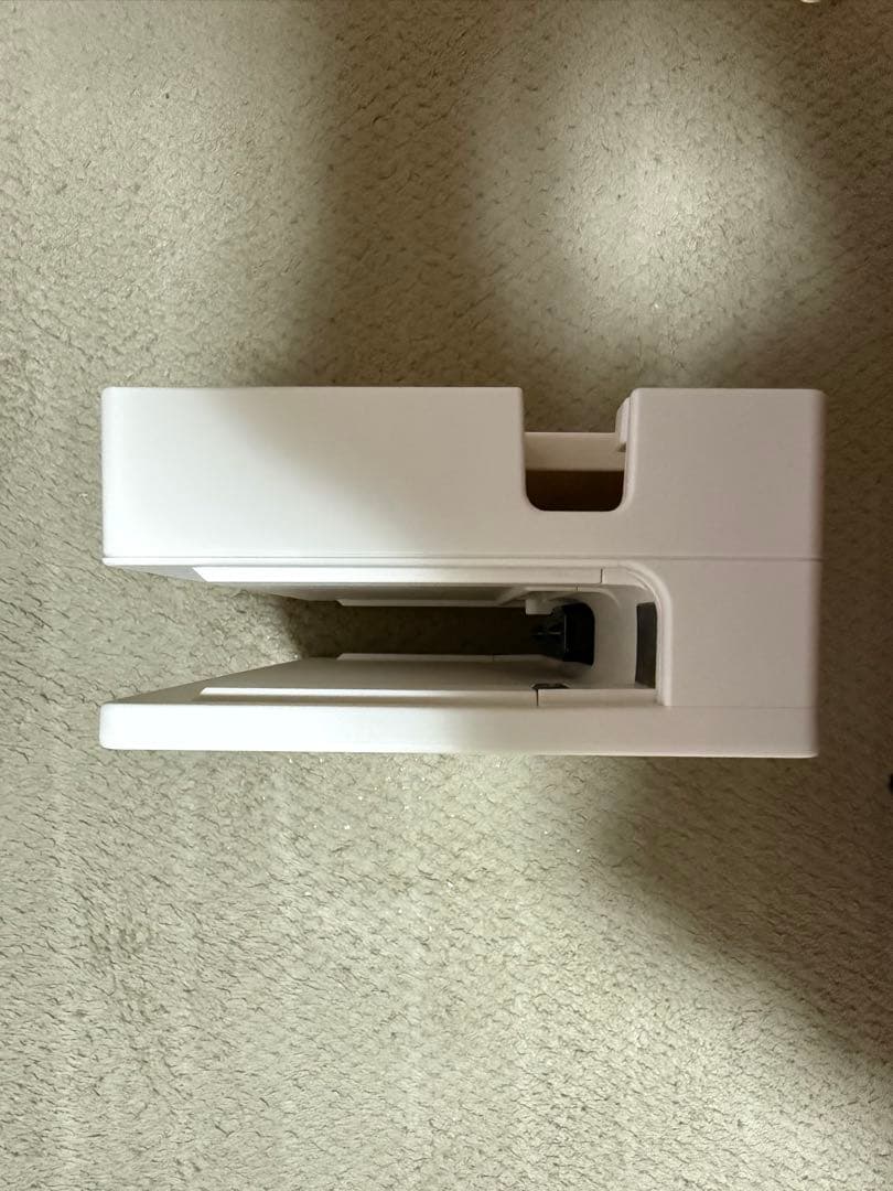Nintendo Switch あつまれどうぶつの森セット+ハードケース【完品】