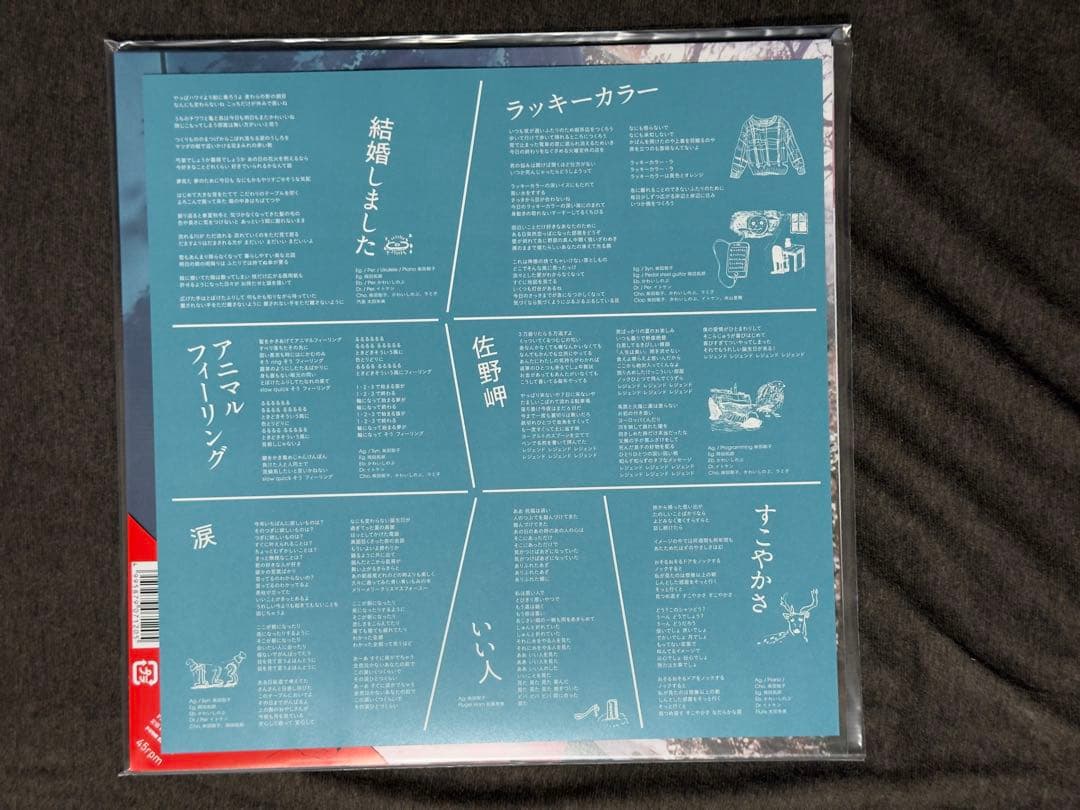 柴田聡子 がんばれ！メロディー LP アナログレコード vinyl