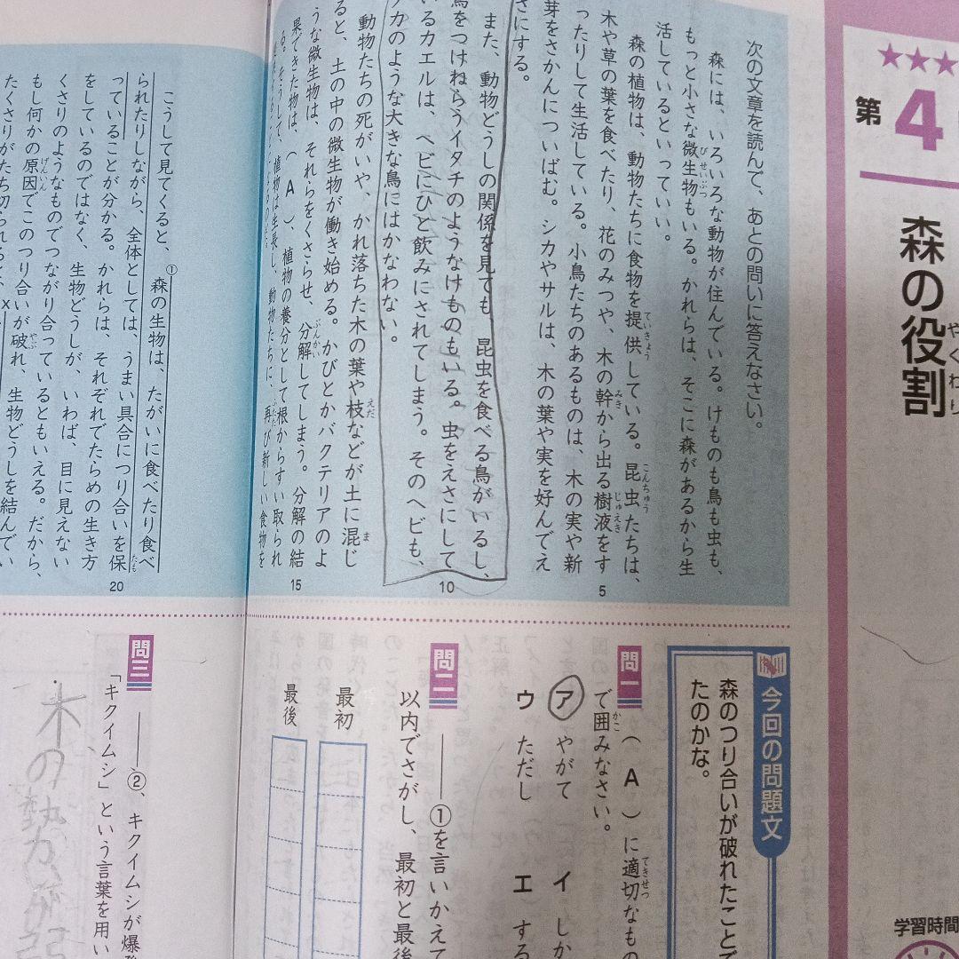 エプリスタディ 小5 2020年 全12冊セット