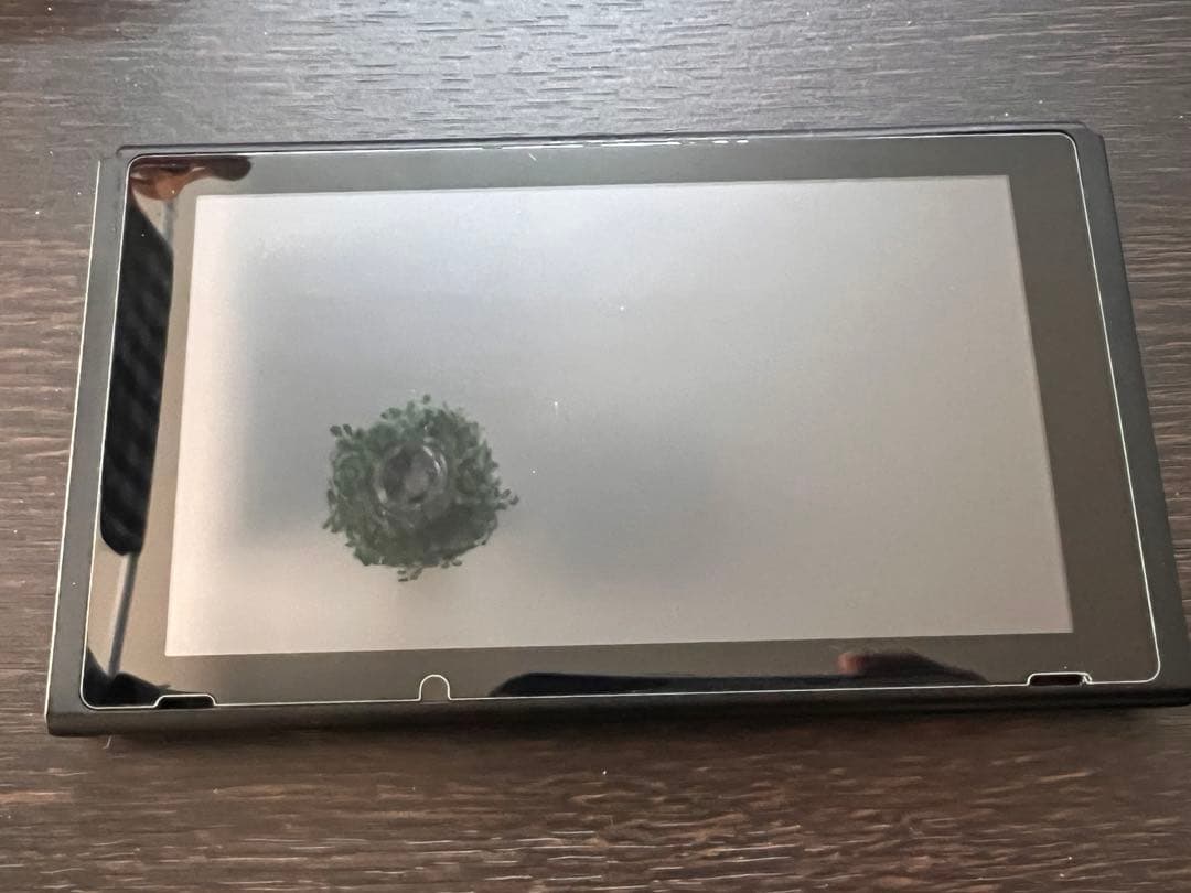 本体 MHXX Nintendo Switch Ver.スペシャルパック 箱無し