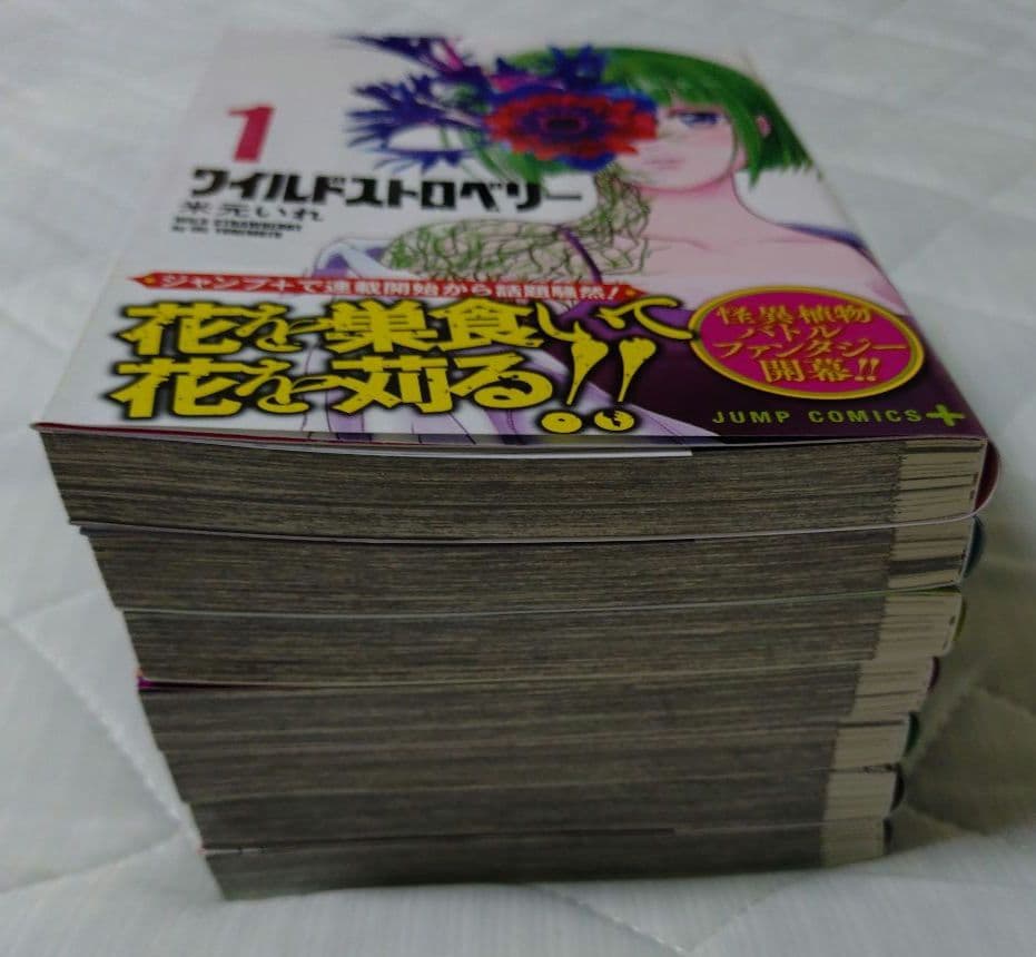 ワイルドストロベリー 1巻 2巻 3巻 4巻 5巻 6巻 7巻 完結 全巻セット