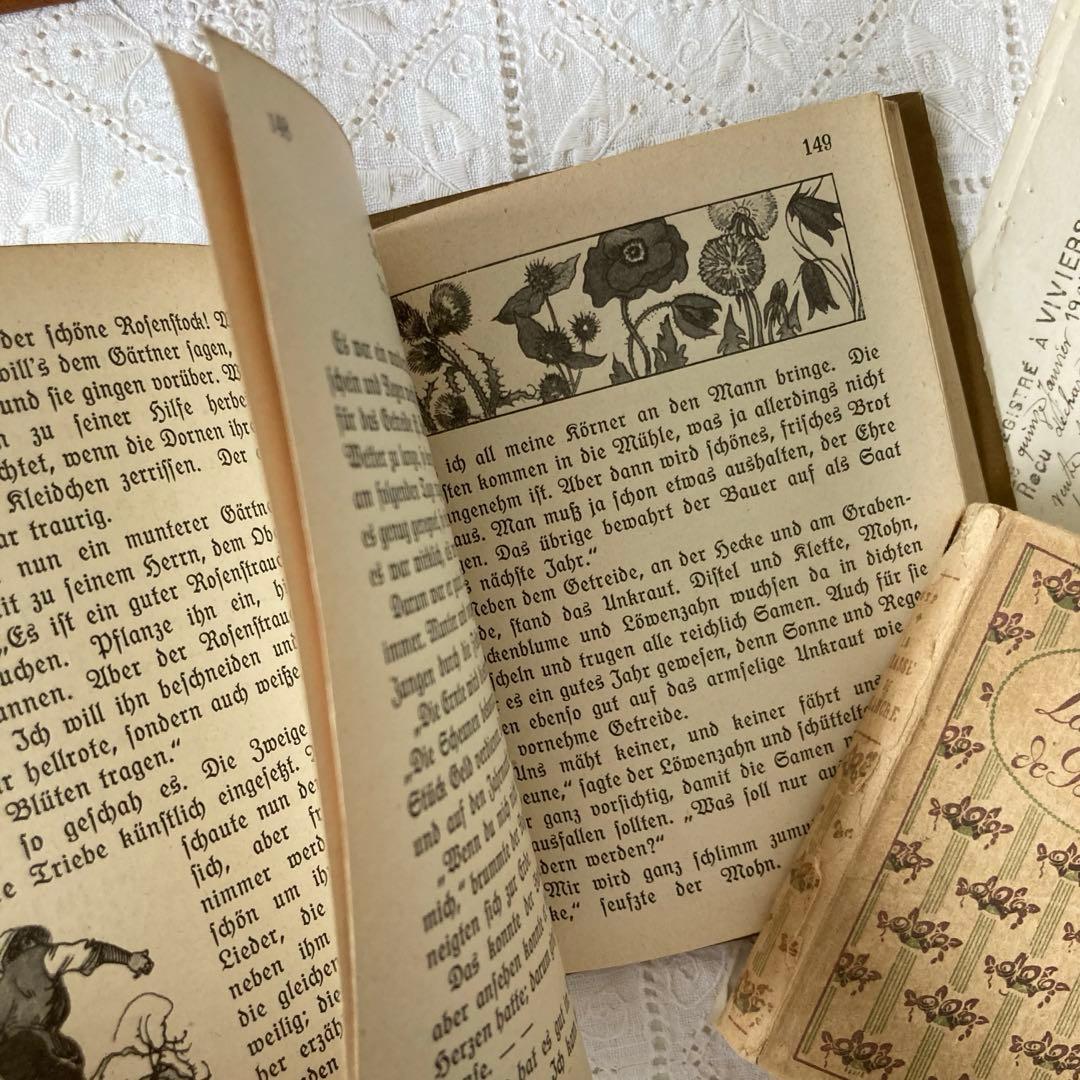L850洋書　1925年発行　ドイツのアンティーク古書　 花のおとぎ話