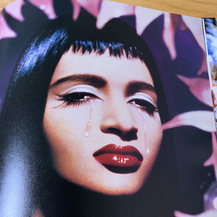 ピエール&ジル　写真作品集　pierre et gilles
