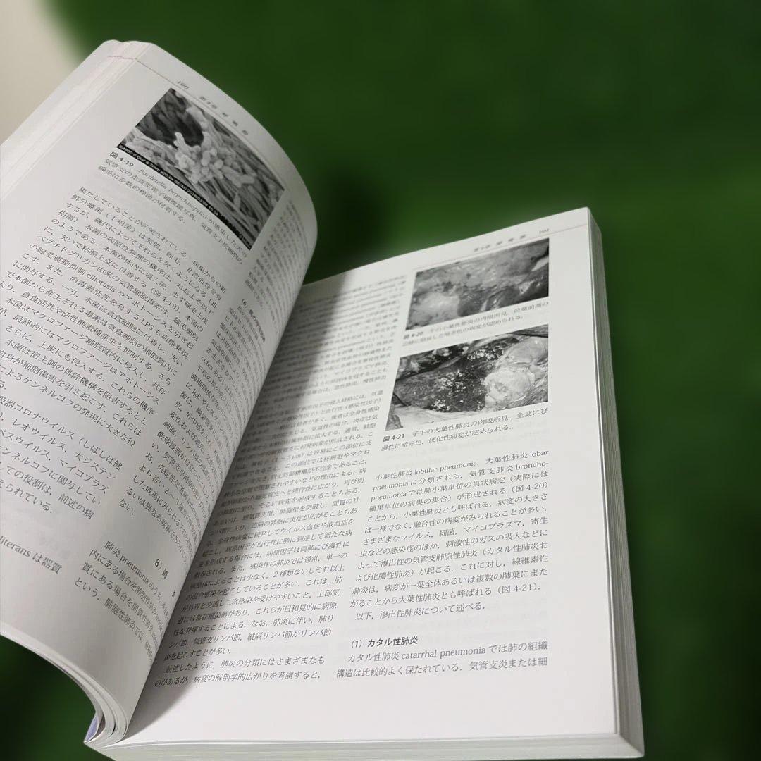 動物病理学各論　第3版