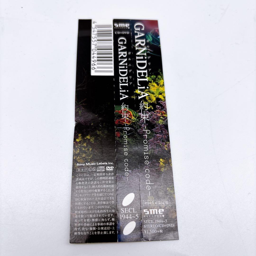 GARNiDELiA 約束 Promise code 初回生産限定版 DVD付き