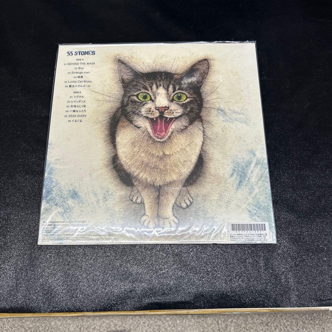 斉藤和義／55 STONES アナログレコード