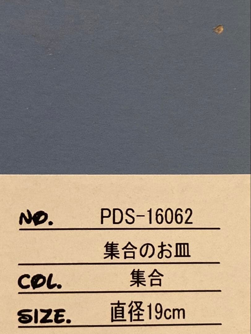 お皿1枚目 punkdrunkers パンクドランカーズ 集合のお皿