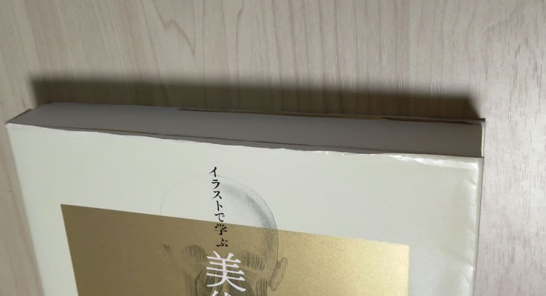イラストで学ぶ美術解剖学