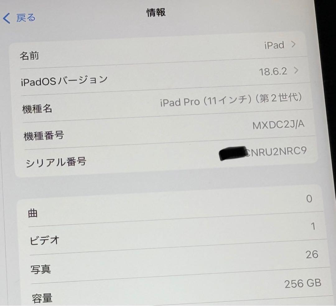 iPad pro 11インチ 第2世代　256GB Wi-Fiモデル