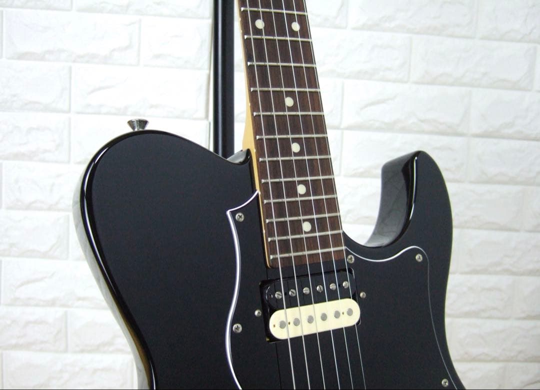 ギター FUJIGEN Boundary ILIAD BIL-G-HH FGN