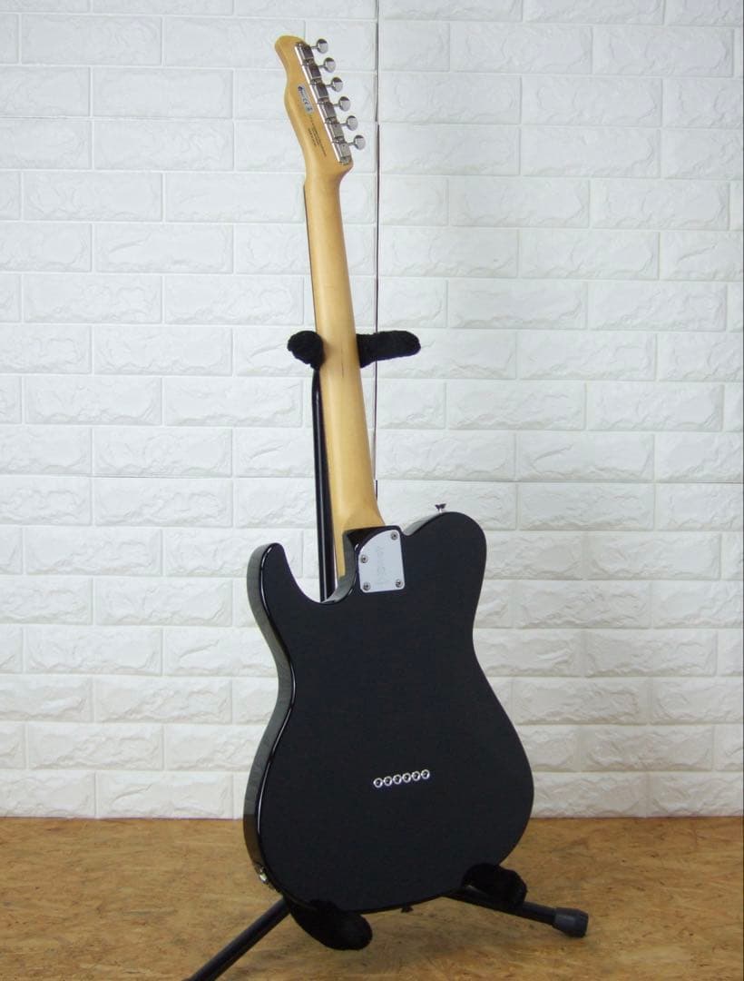 ギター FUJIGEN Boundary ILIAD BIL-G-HH FGN