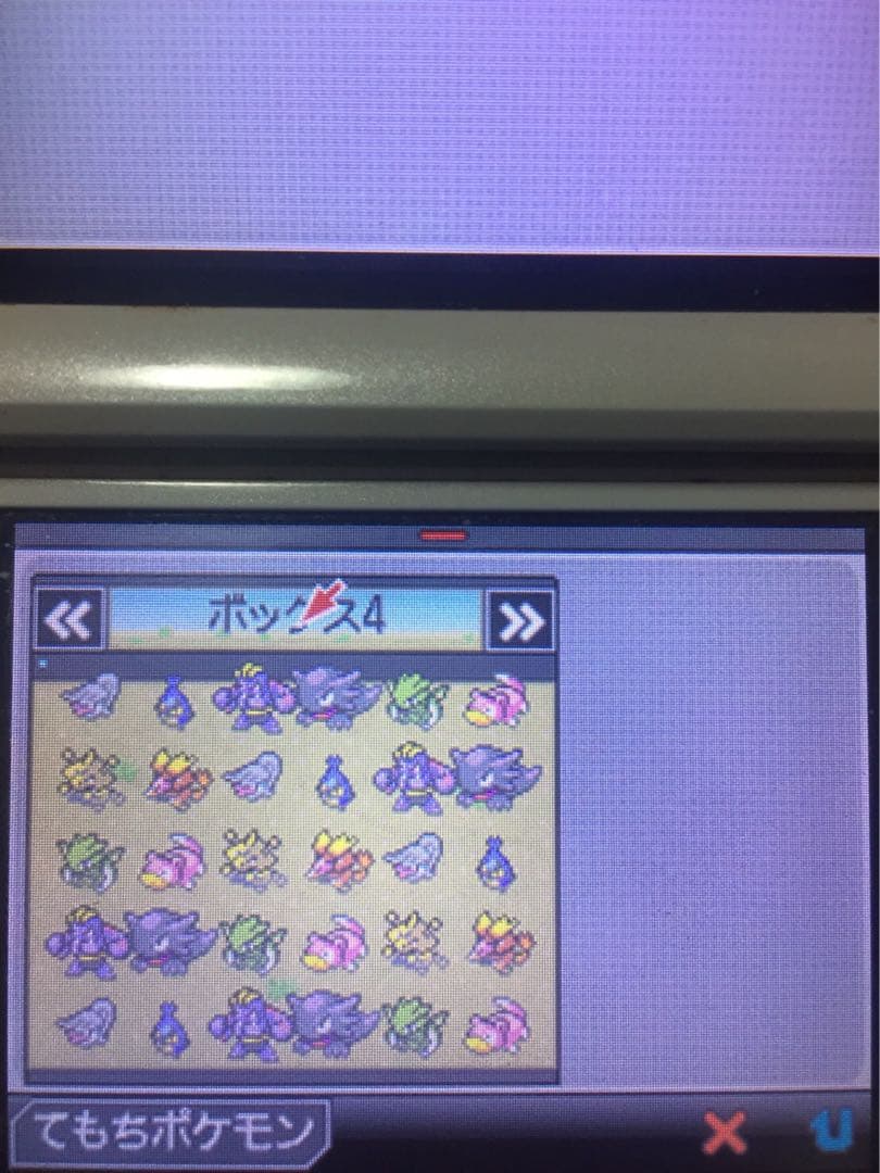 ポケットモンスター　ホワイト　学園祭