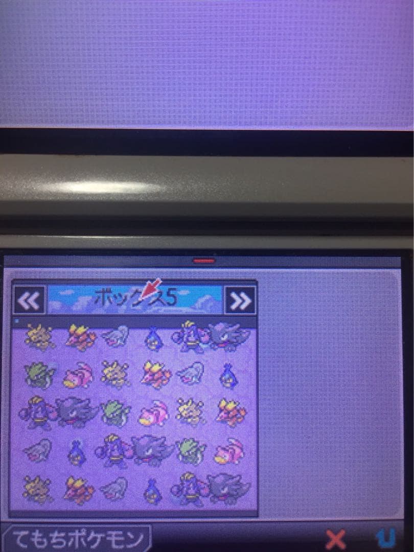 ポケットモンスター　ホワイト　学園祭