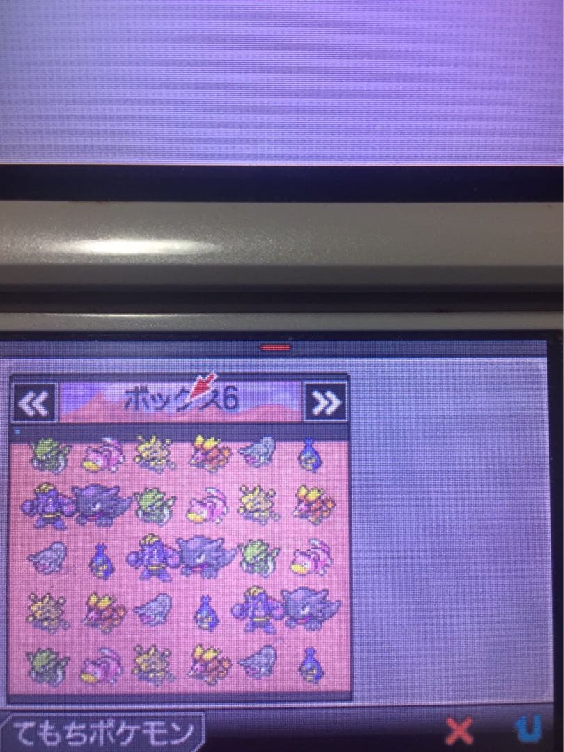 ポケットモンスター　ホワイト　学園祭
