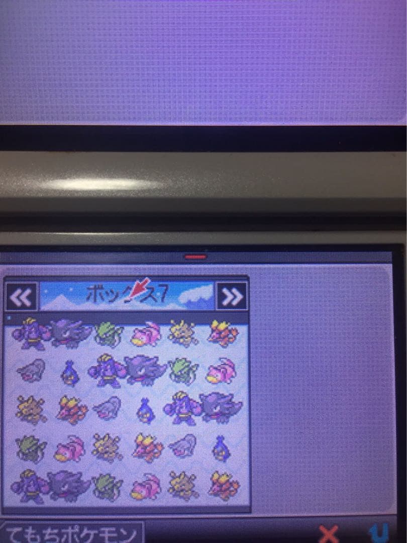 ポケットモンスター　ホワイト　学園祭