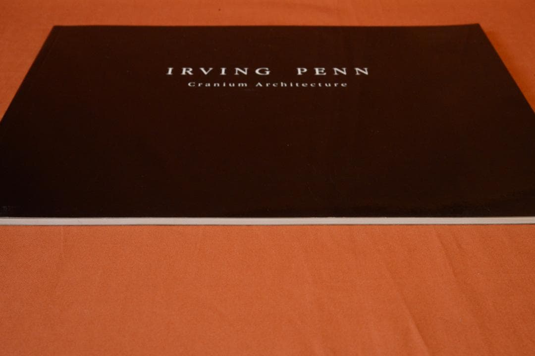 【Cranium Architecture】Irving Penn★値下しました