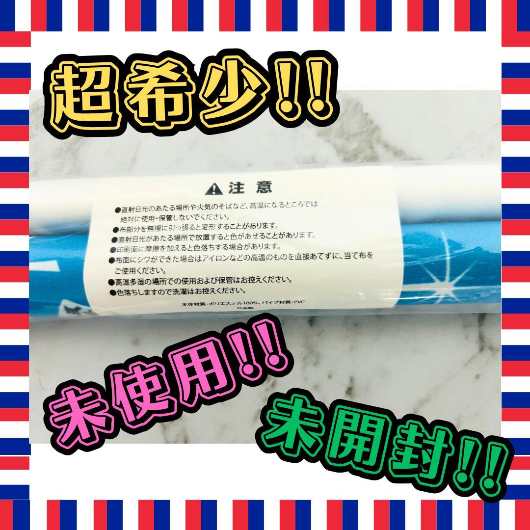 【期間限定品・未開封】咲-実写版-タペストリー【清澄高校】