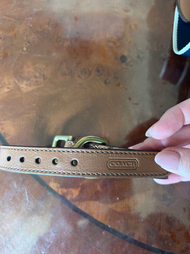 【美品】COACH 首輪リード　MSサイズ