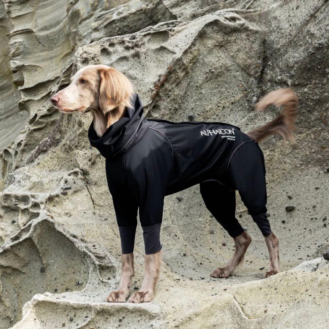RAIN DOG GUARD　レインドッグガード　ONYX サイズ:L
