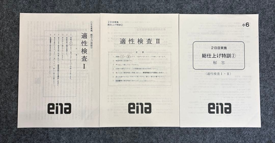 ena総仕上げ特訓全4日間分2024〜2025年版適正検査　迅速発送
