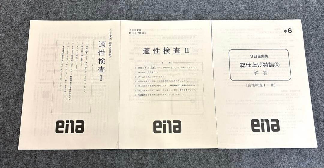 ena総仕上げ特訓全4日間分2024〜2025年版適正検査　迅速発送