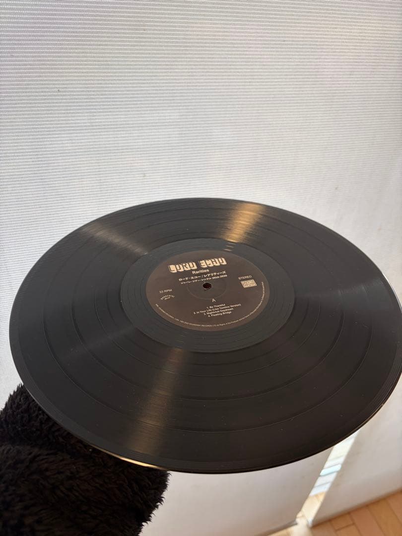 Lord Echo ロード・エコー／レアリティーズ LP