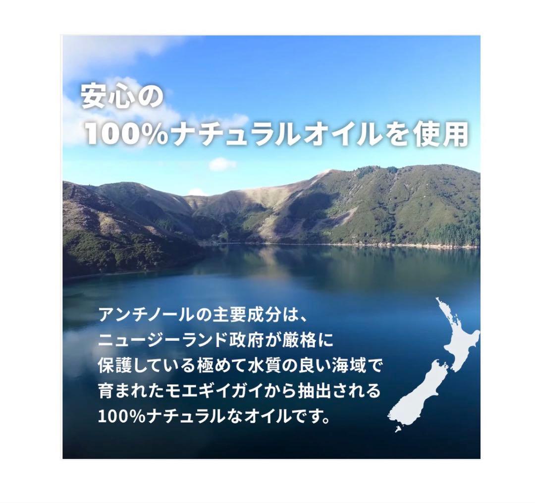 アンチノール+ 90粒