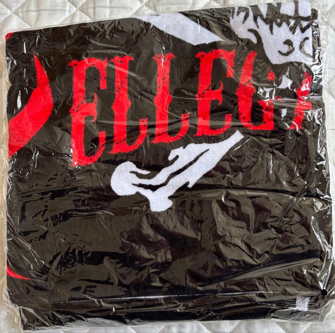 ELLEGARDEN スカルデザイン　 バスタオル　タオル