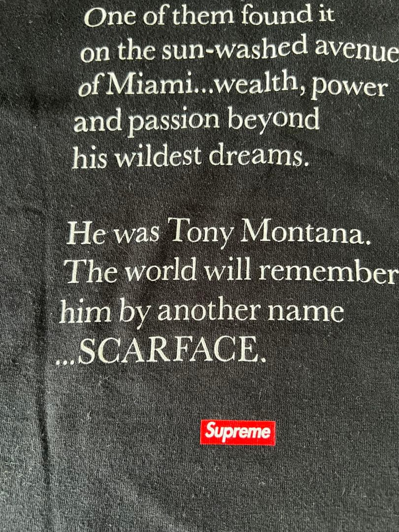 Supreme シュプリーム 17AW Friend Tee Scarface