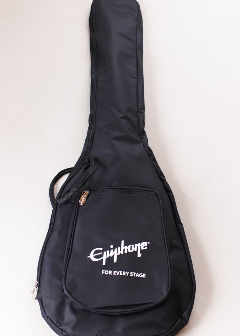 【丁子屋】Epiphone Allen Woody Bass