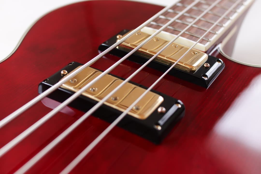 【丁子屋】Epiphone Allen Woody Bass