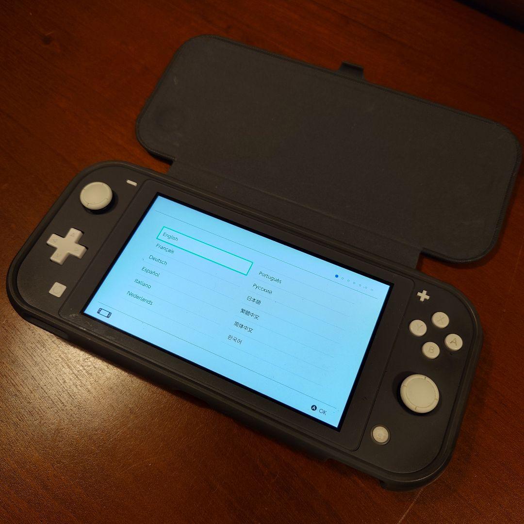 ふ*ぐ様 Nintendo Switch Lite グレー ケース付き